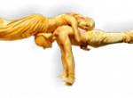 Nos_Ipsi 2