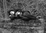 Double_Charlie_Chaplin 4